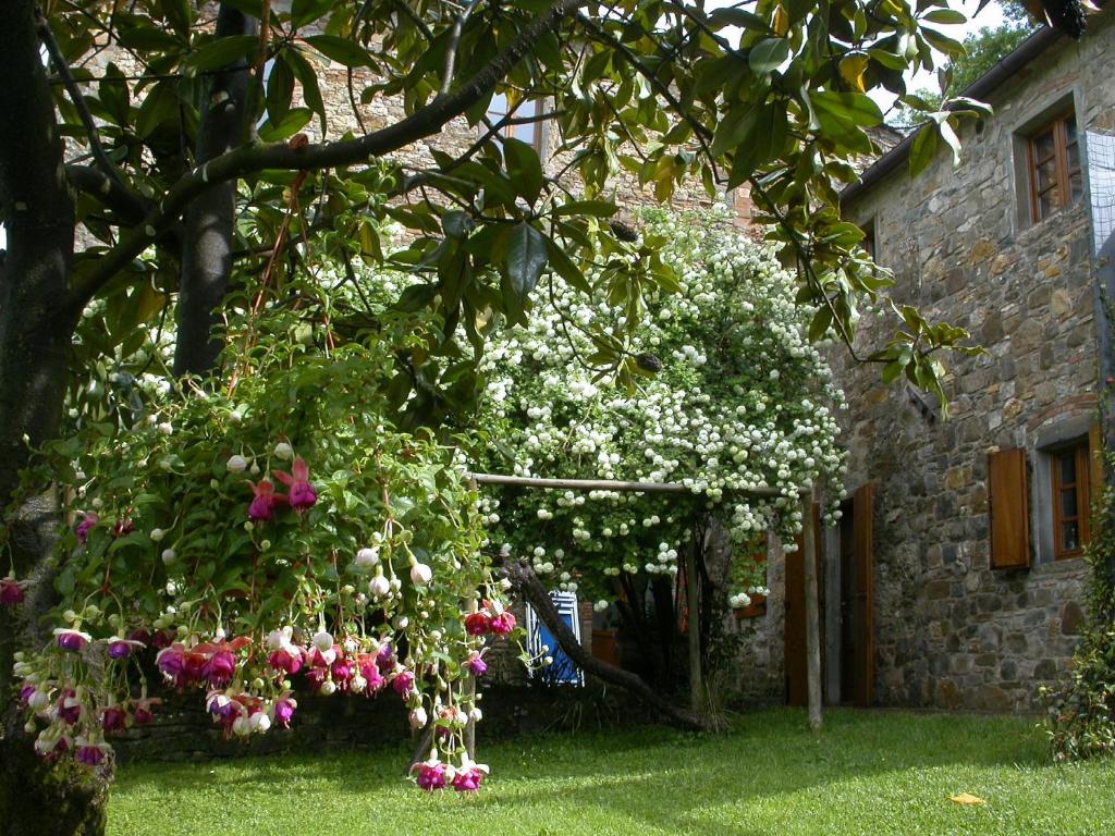 Zahrada ubytování Fattoria Poggerino