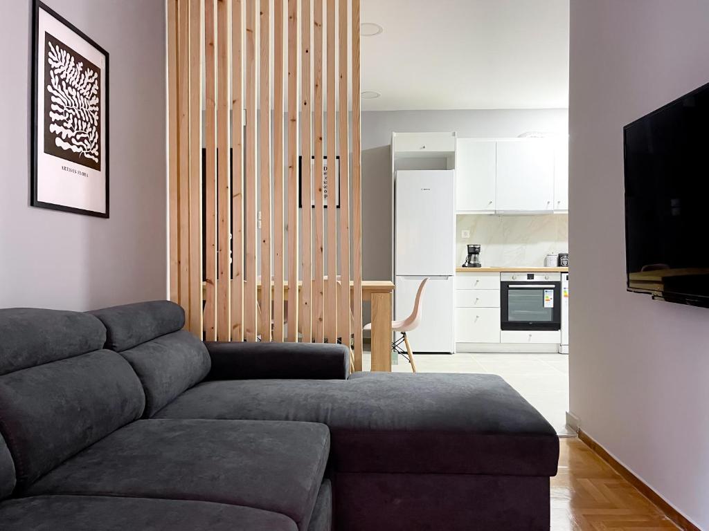 uma sala de estar com um sofá e uma cozinha em 4-bedroom Dream Apartment em Atenas