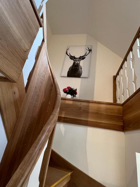 Fotografie z fotogalerie ubytování Schellnhof Forsthaus am Waldrand v destinaci Nidda