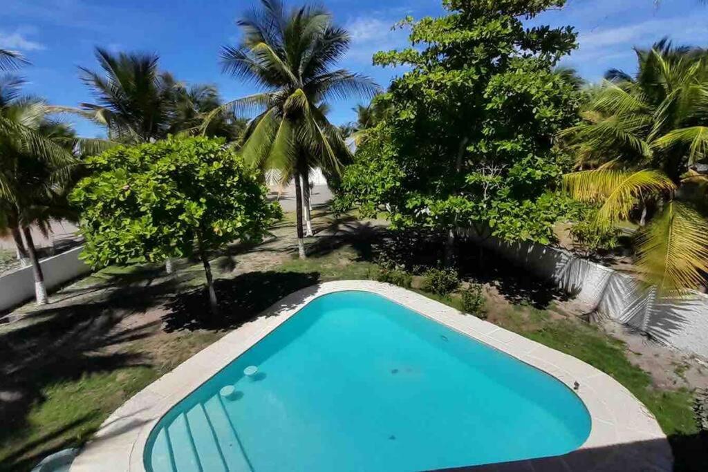 een leeg zwembad in een tuin met palmbomen bij Rodri’s Place in Tilapa