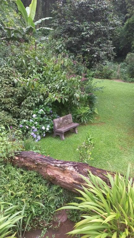 a bench sitting on the grass with a fallen tree at Me, myself, I Glamping in Pietermaritzburg