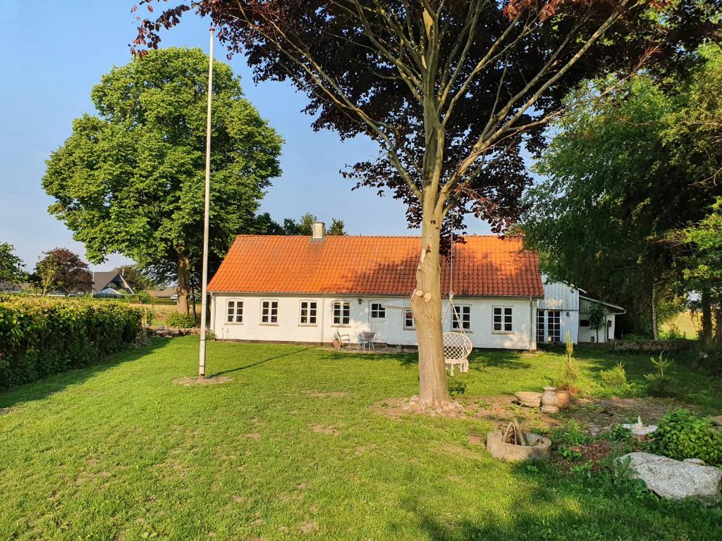 Zahrada ubytování Slotsgaardens feriegård.