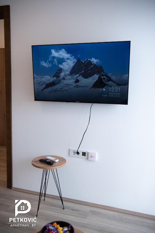 TV a/nebo společenská místnost v ubytování Petković apartmani 87