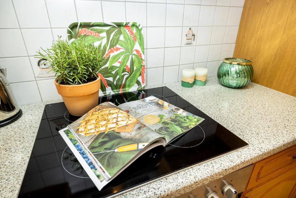 Toit külalistemaja aladel või selle läheduses
