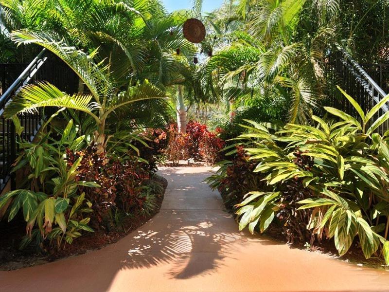 a path through a garden with palm trees and plants at Hotel SOL in St Pete Beach
