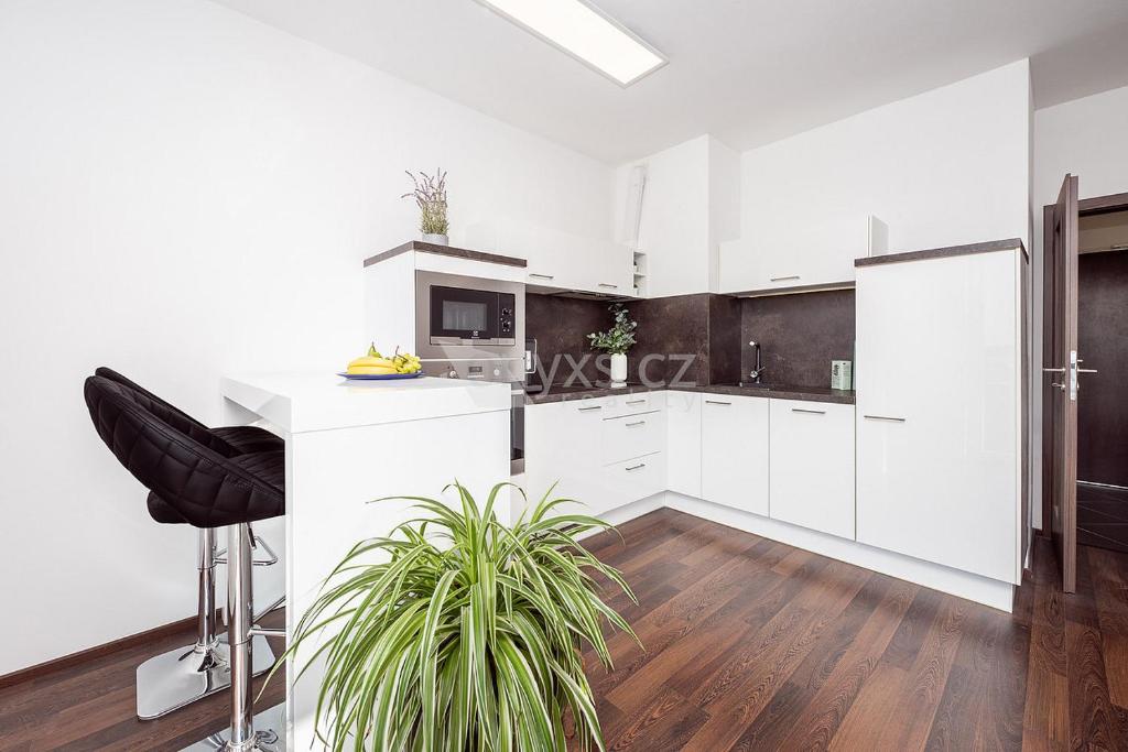 a kitchen with white cabinets and a potted plant at Praha Letňany 168 Free garage parking in Prague