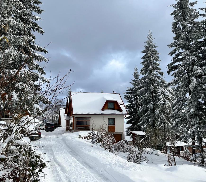 dom ze śniegiem na dachu w lesie w obiekcie Sara Apartments Pridolci w mieście Kozica