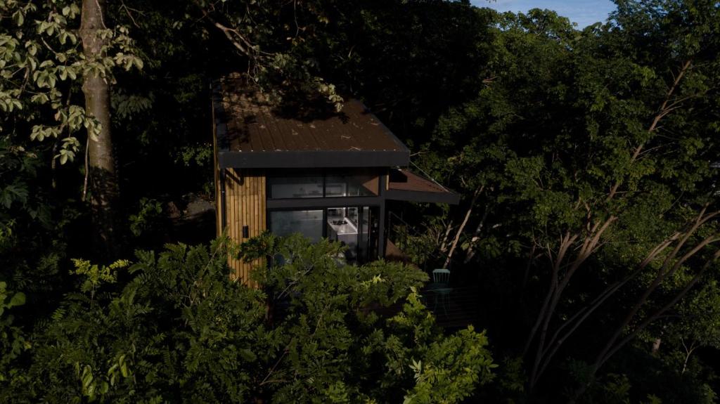 uma pequena casa no meio das árvores em Tiny Home Samambaia - Sea view and bathtub 