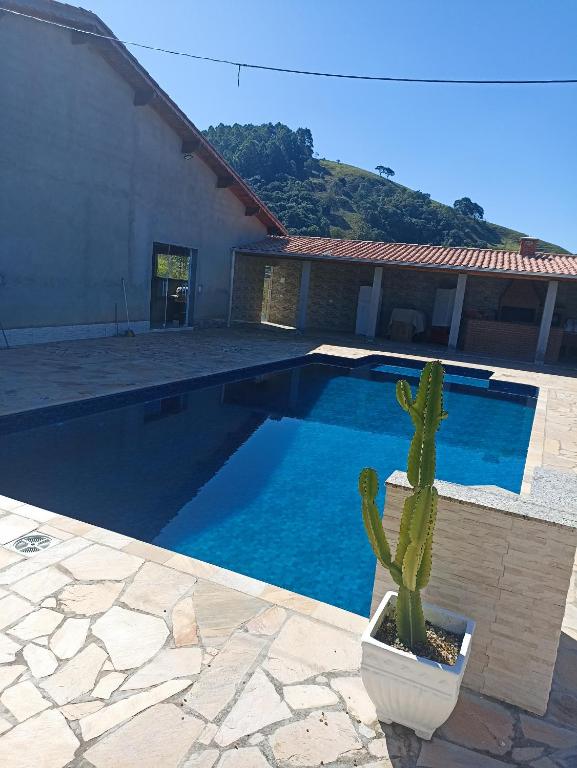kaktus w garnku obok basenu w obiekcie Lindo Sítio, Itapeva MG a 120km w mieście Itapeva