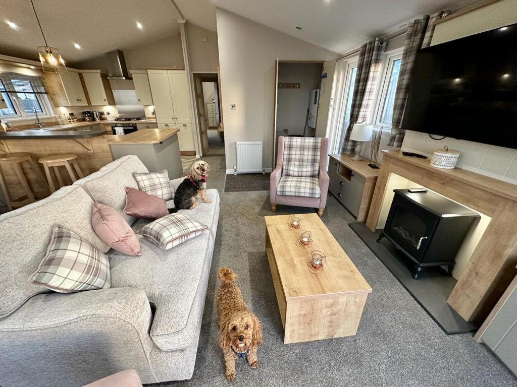TV a/nebo společenská místnost v ubytování Luxury 3 bedroom Maple View Lodge, Newquay, Cornwall