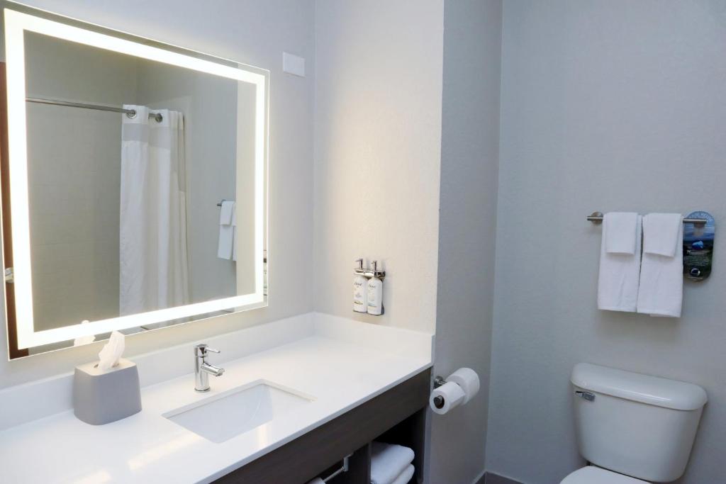Holiday Inn Express Baton Rouge North by IHG - 一卧室特大号床套房