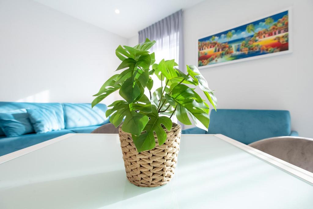 Tema Suites - Dimore Partenopee - 8