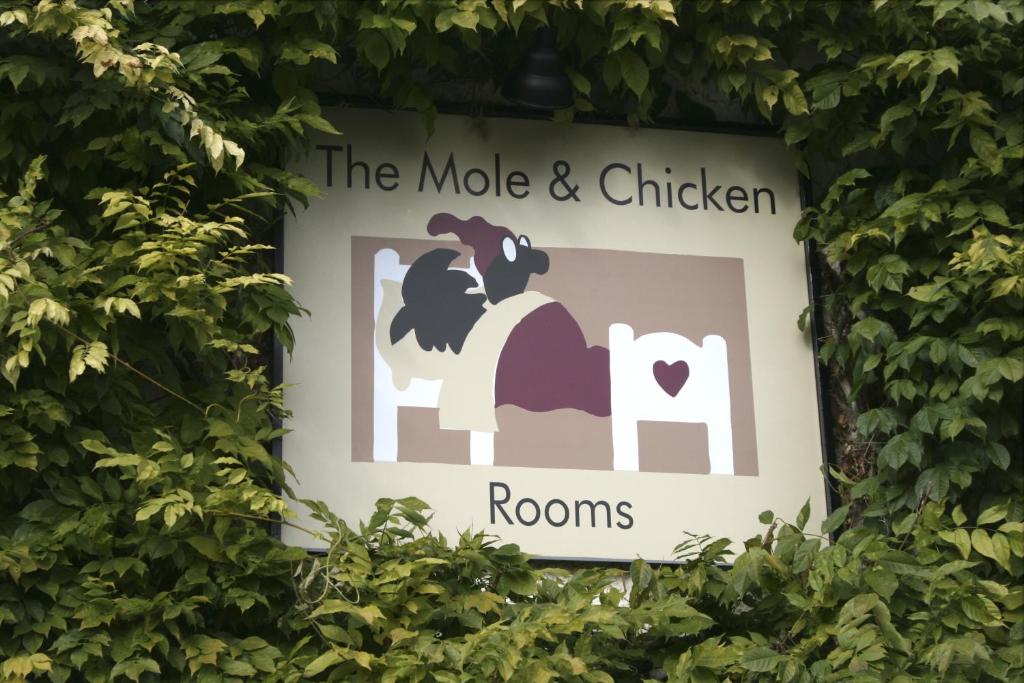The Mole and Chicken in Thame, Oxfordshire, England