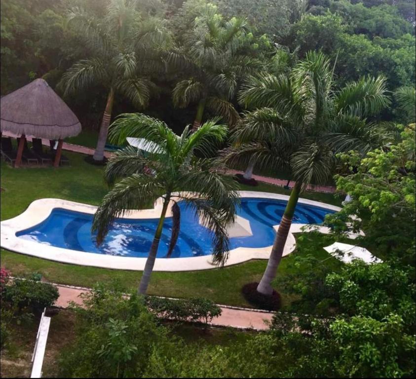 an overhead view of a swimming pool with palm trees at Private Room Puerto Morelos in Puerto Morelos