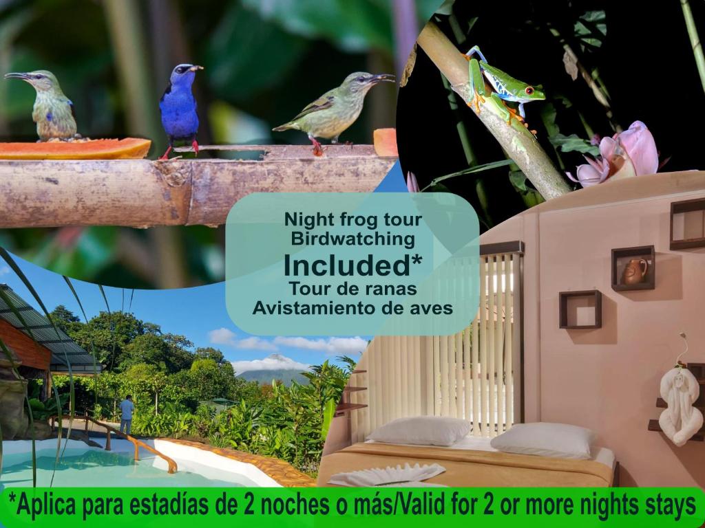 a group of birds sitting on top of a bird house at Cabañas del Rio in Fortuna