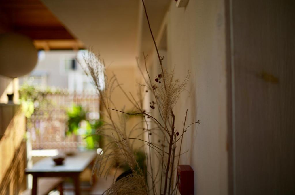 Hantang Inn Hostel Xi'an - Housity