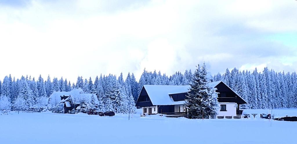 una casa en la nieve con árboles nevados en Horská Kvilda - Ubytování U Chvalů, en Horská Kvilda