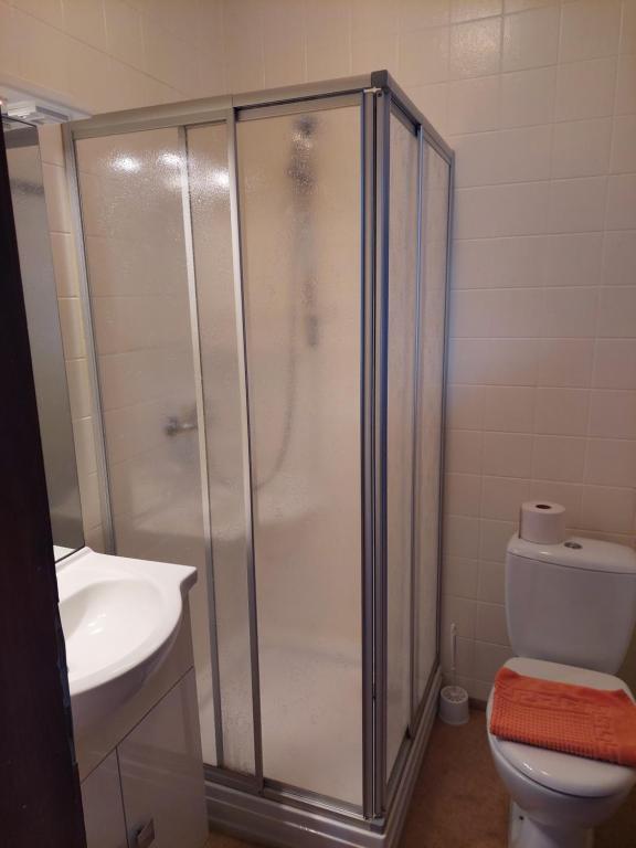 Kúpeľňa v ubytovaní Pension Welserhof