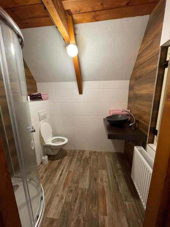 Koupelna v ubytování Ubytování Doubice