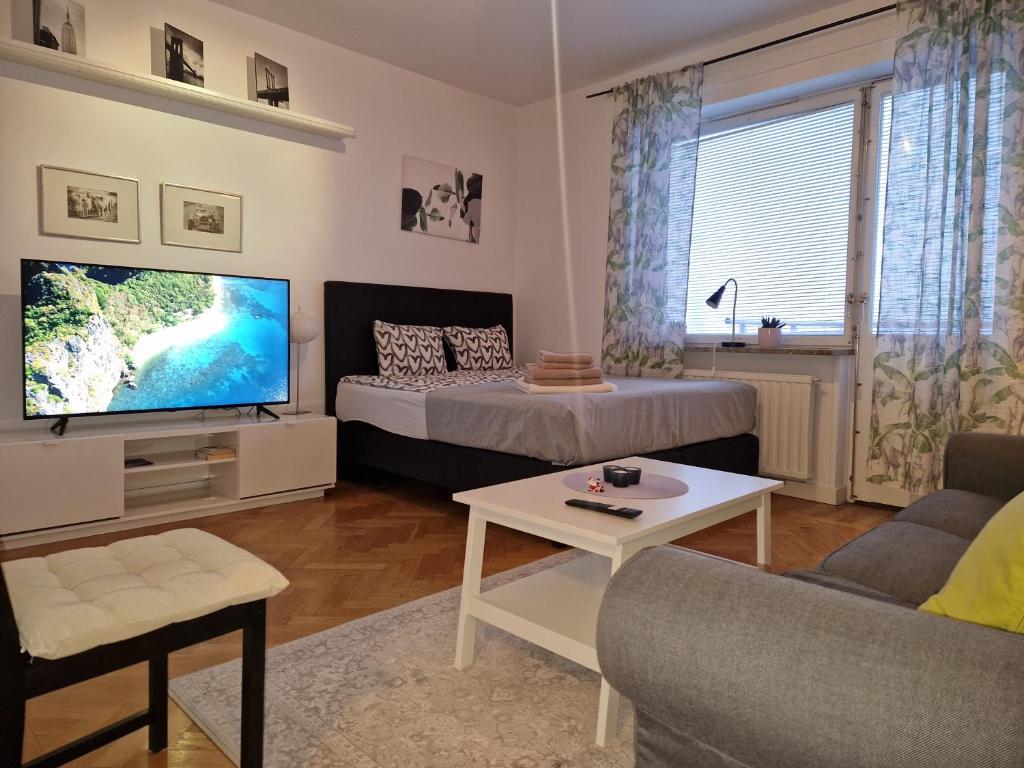 斯德哥爾摩的住宿－Mysigt lägenhet，带沙发和电视的客厅