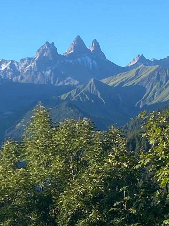 le clos grillet - 17