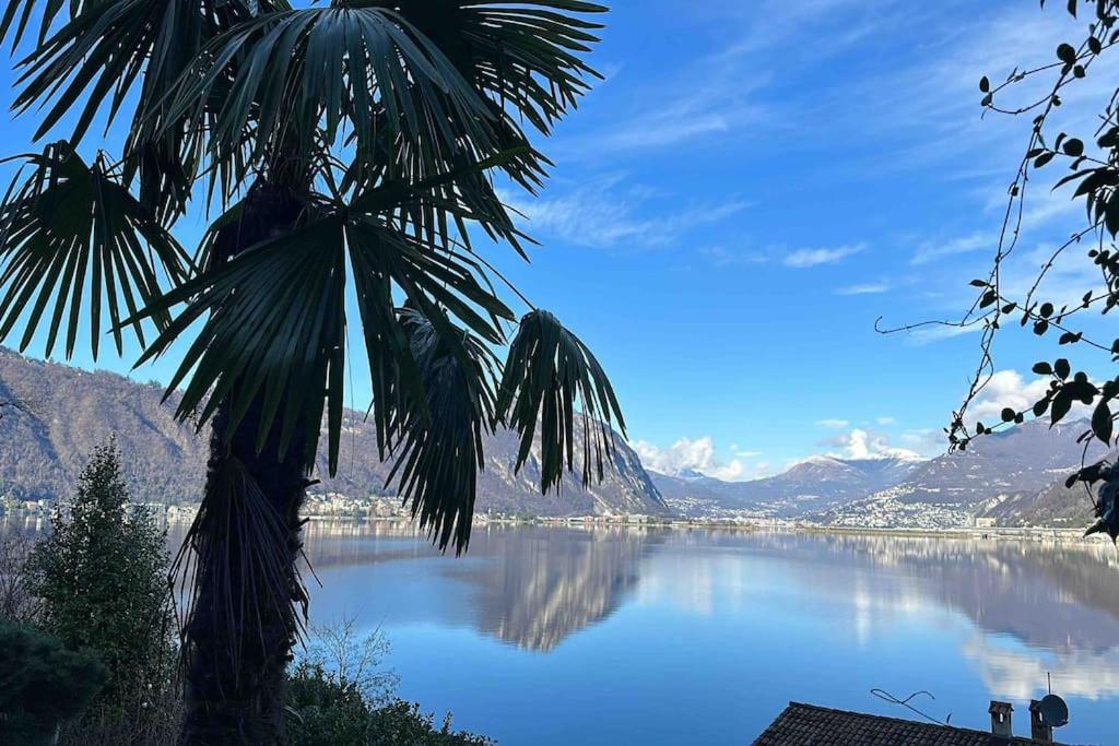 una palmera frente a un cuerpo de agua en Ferienwohnung Il Sogno mit privatem Seeanstoss in Riva San Vitale-Lugano, en Riva San Vitale