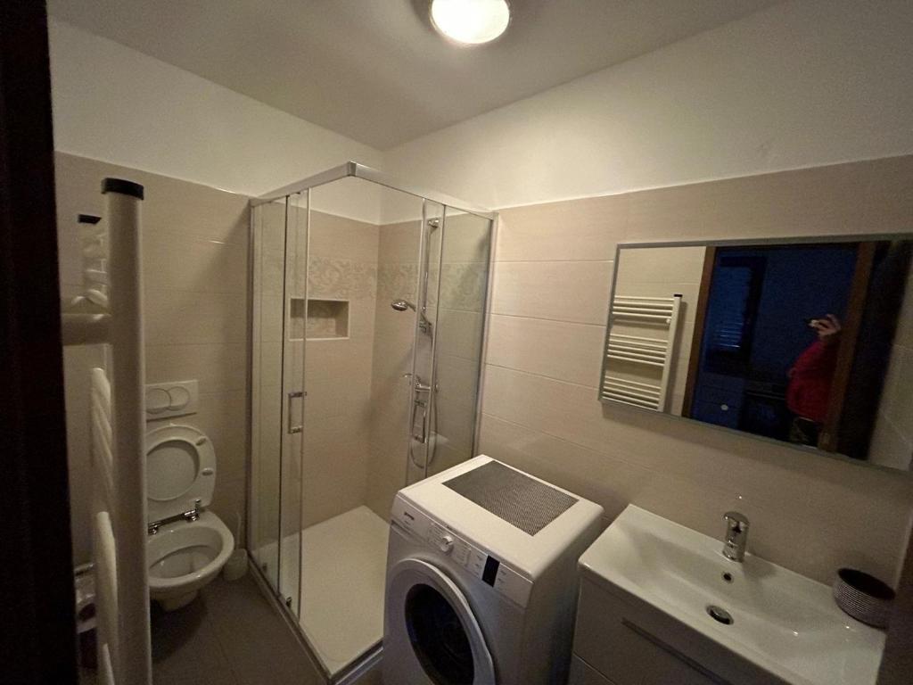 Koupelna v ubytování Apartments Dino