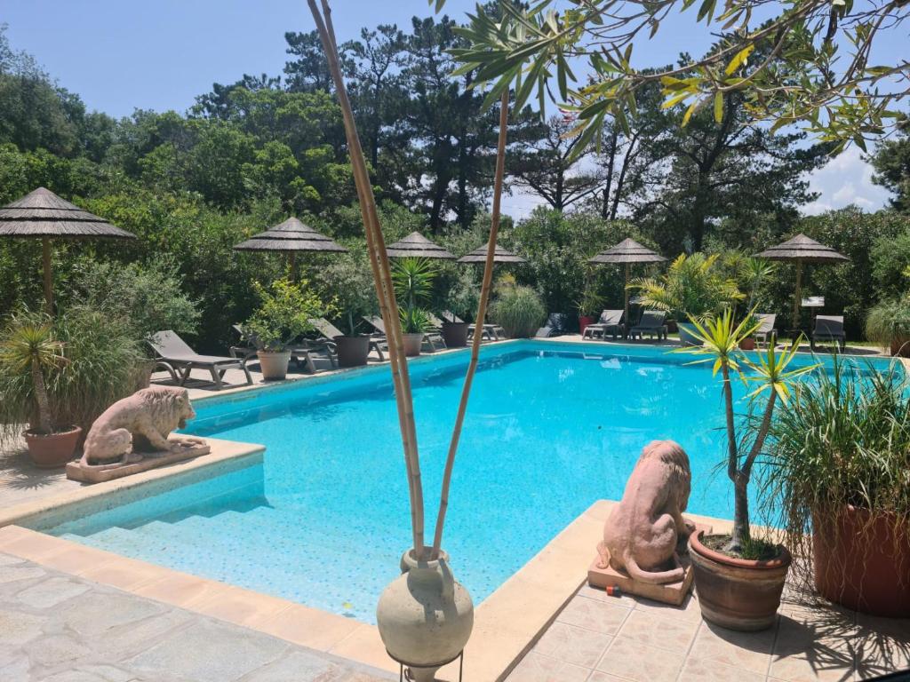 a swimming pool with two statues of bears next to it at Relais de Bravone in Linguizzetta