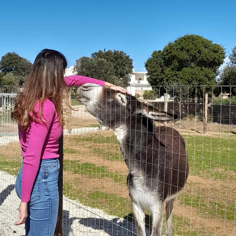 Zvieratá vo vidieckom dome alebo blízkom okolí
