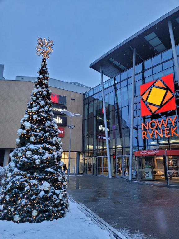 Apartament LILLA - 4