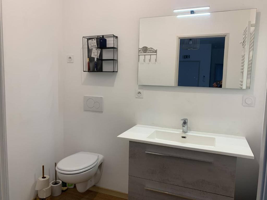 a bathroom with a sink and a toilet and a mirror at Hôtel de la Poste in Coudes
