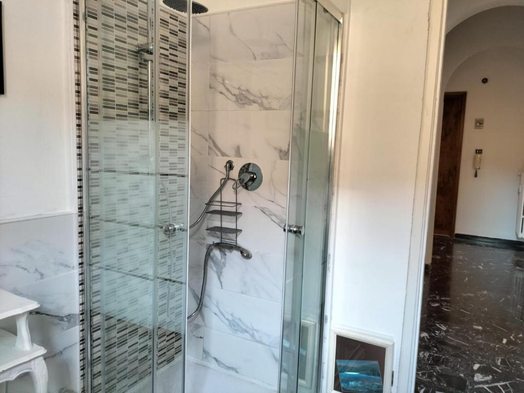 y baño con ducha y puerta de cristal. en casa gio, en Novi Ligure