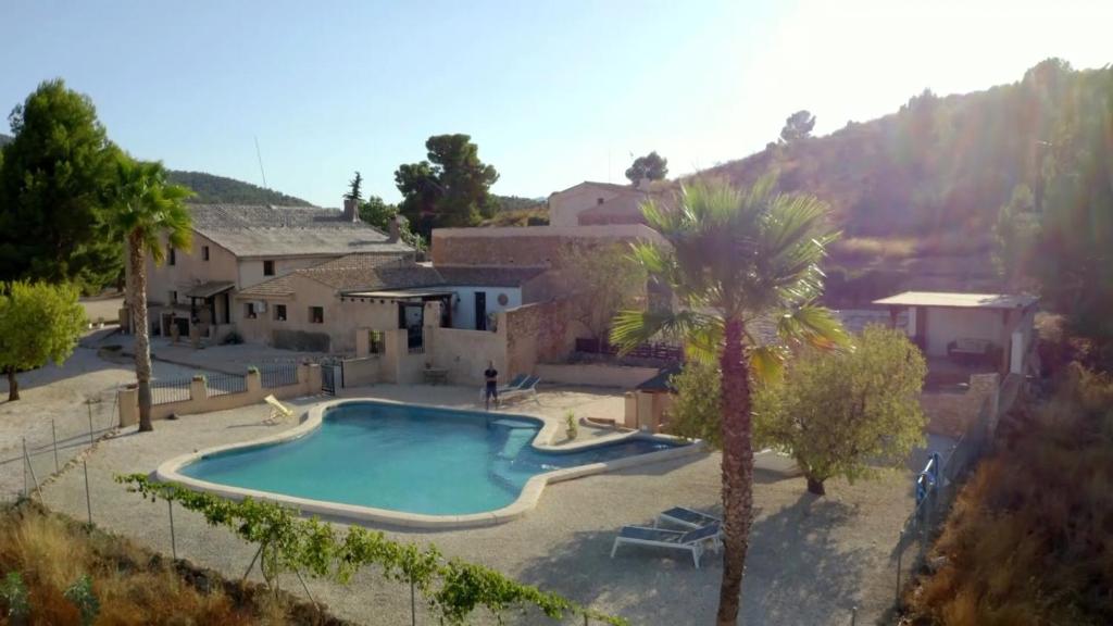 a house with a swimming pool and a palm tree at Finca Guillermo Murcia in Cañada del Trigo