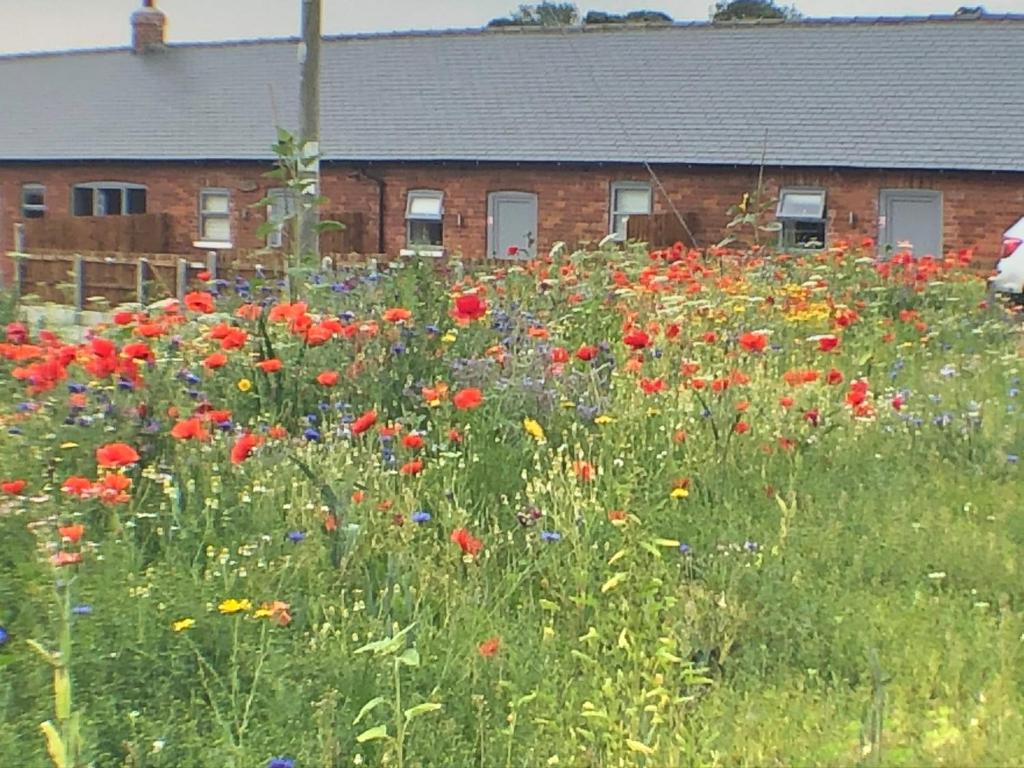 a field of flowers in front of a building at The Milking Parlour, Wolds Way Holiday Cottages, 1 bed cottage in Cottingham