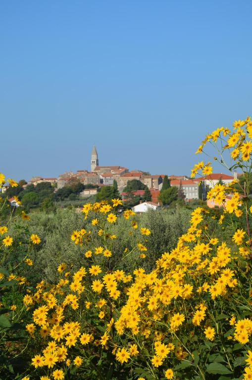 Fotografie z fotogalerie ubytování Villa Olivetta by Istrian Country Houses v destinaci Barat