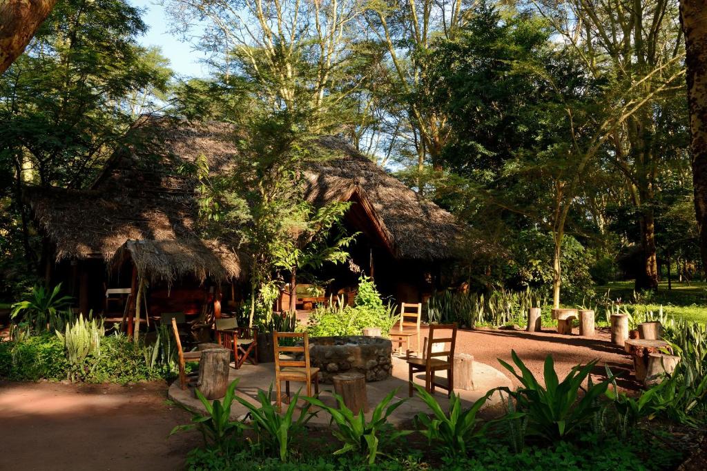a resort with chairs and a thatch roof at Migunga Tented Camp in Mto wa Mbu