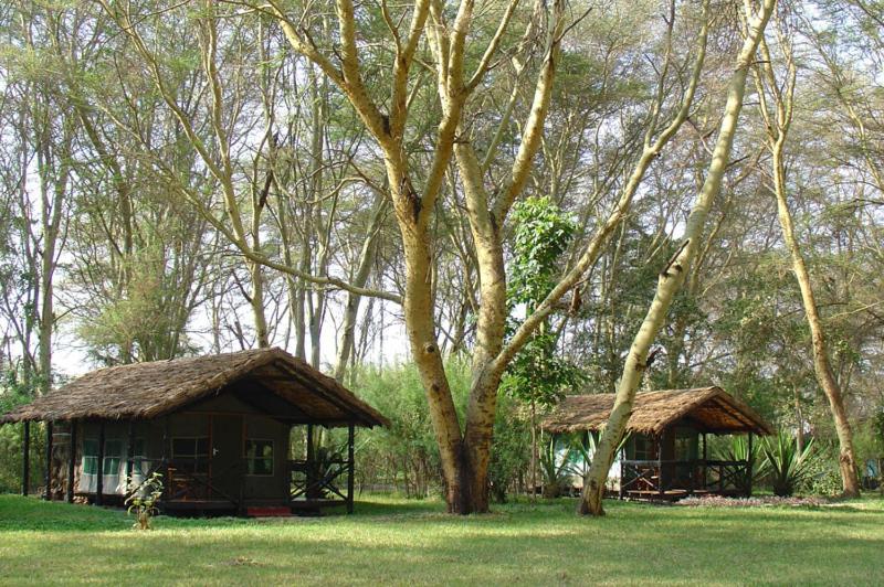 Migunga Tented Camp, Mto wa Mbu – Updated 2024 Prices