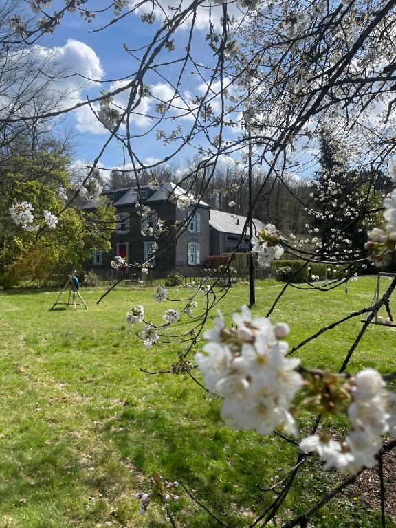 Zahrada ubytování Domaine De L'Ardoisiere
