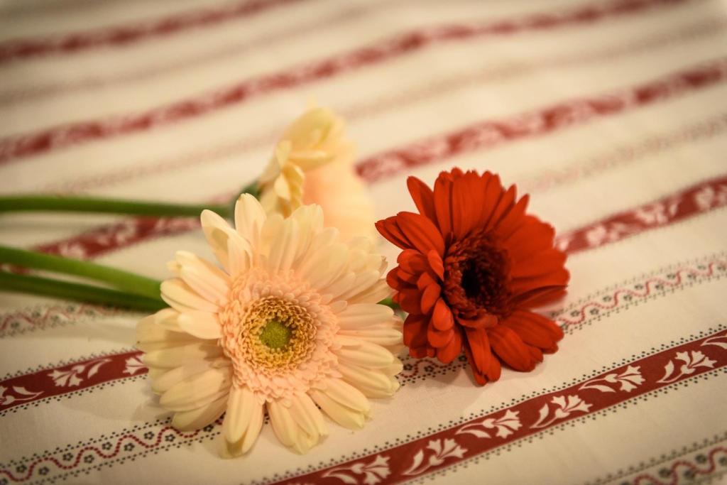 Ostello del Castello Tirano - 7