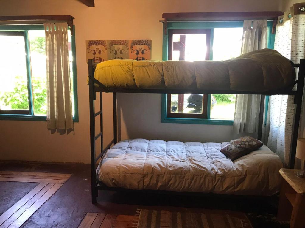 Hostel Raíz - 单床在4床宿舍房间