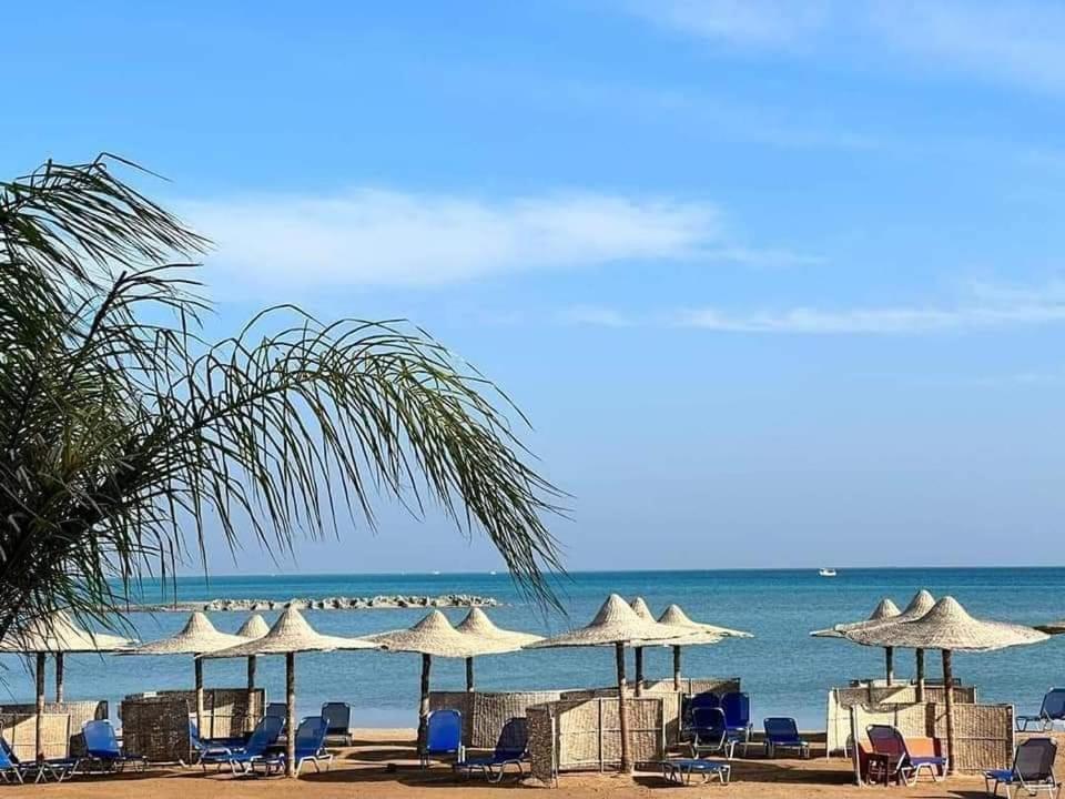 a group of chairs and umbrellas on a beach at Comfort Zone at Turtles Beach Resort in Hurghada