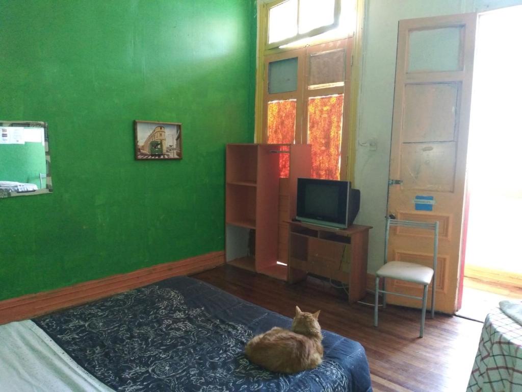 Hostal del gato - Double Room With Shared Bathroom
