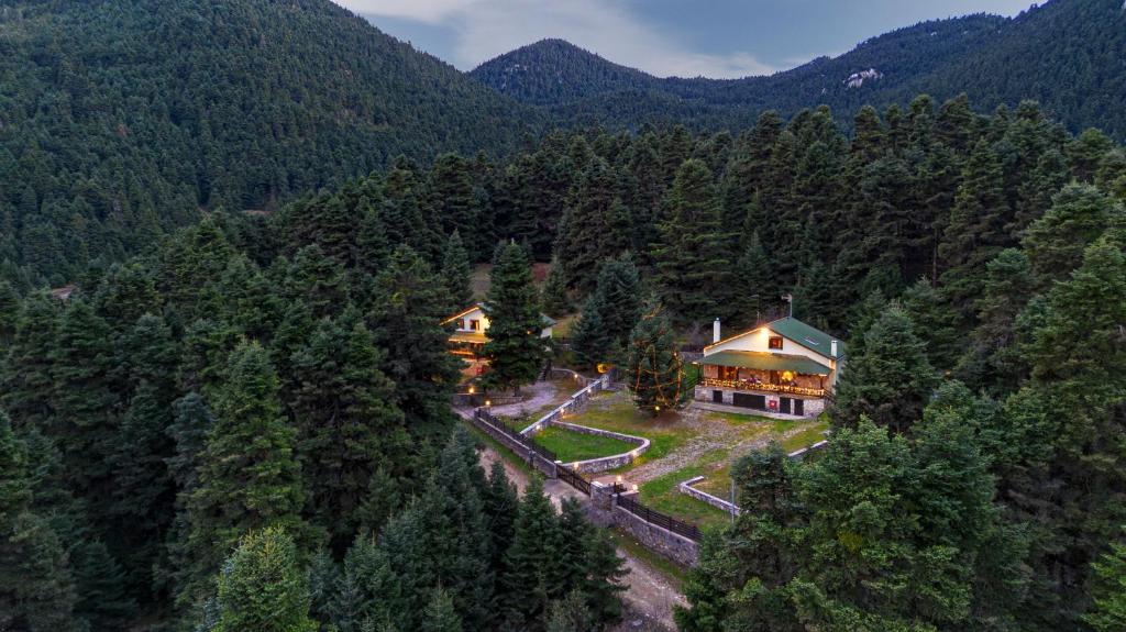 an aerial view of a house in the middle of a forest at Dandy on the hill Chalet Artemis - Fir Forest - Jeep & Nature Lovers in Eptalofos