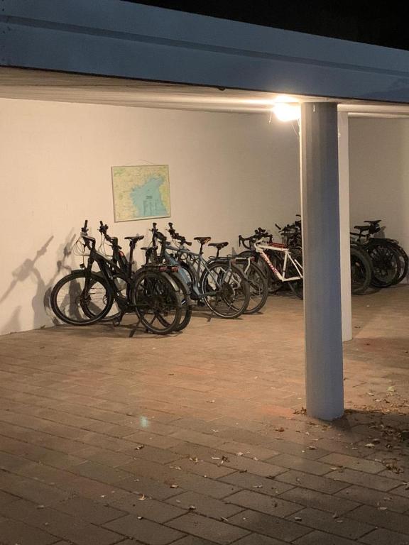Jízda na kole v ubytování Hotel Le Palme " Adults only " nebo okolí