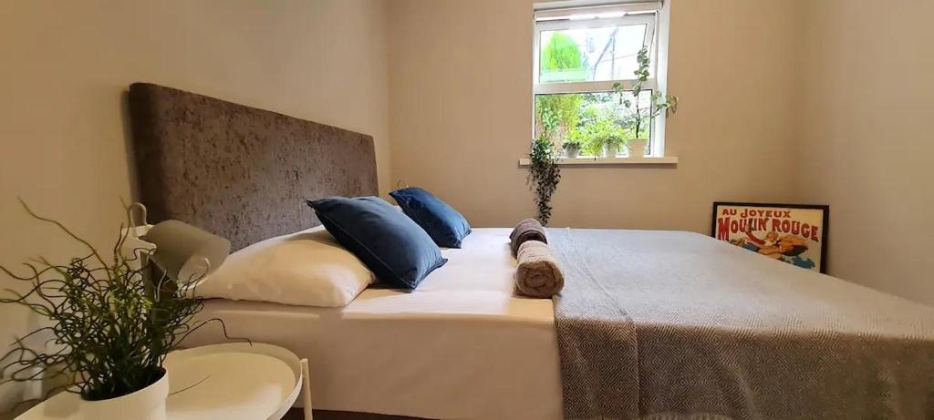 Un dormitorio con una cama con almohadas azules y una ventana en Blima Central Rooms, en Dublín