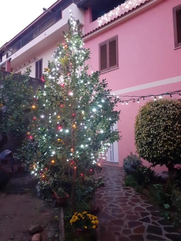 ein Weihnachtsbaum vor einem rosa Haus in der Unterkunft L'Agrifoglio di Emy in Guspini