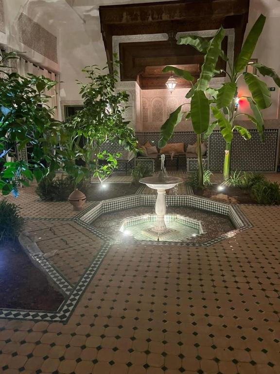 Aed väljaspool majutusasutust Riad Afous