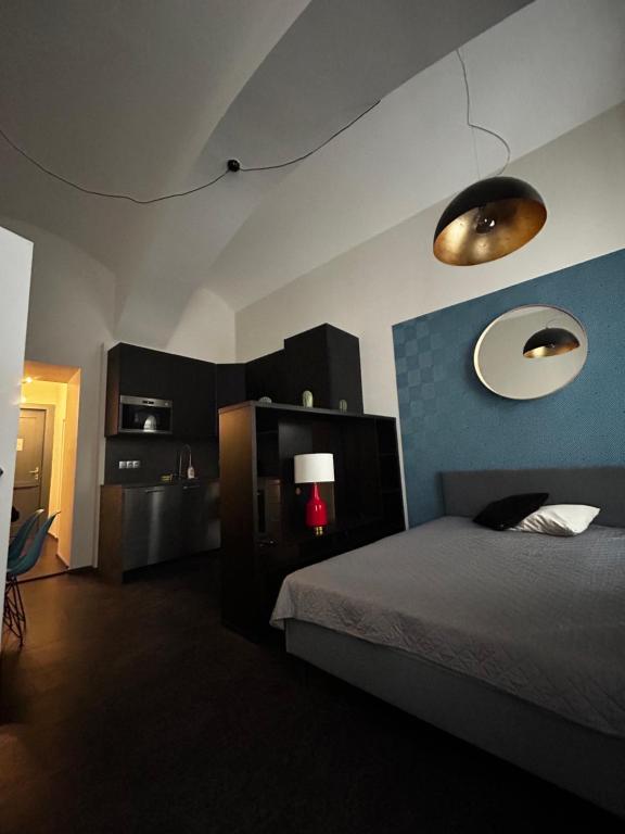 Apartments in the heart of Prague - 标准公寓