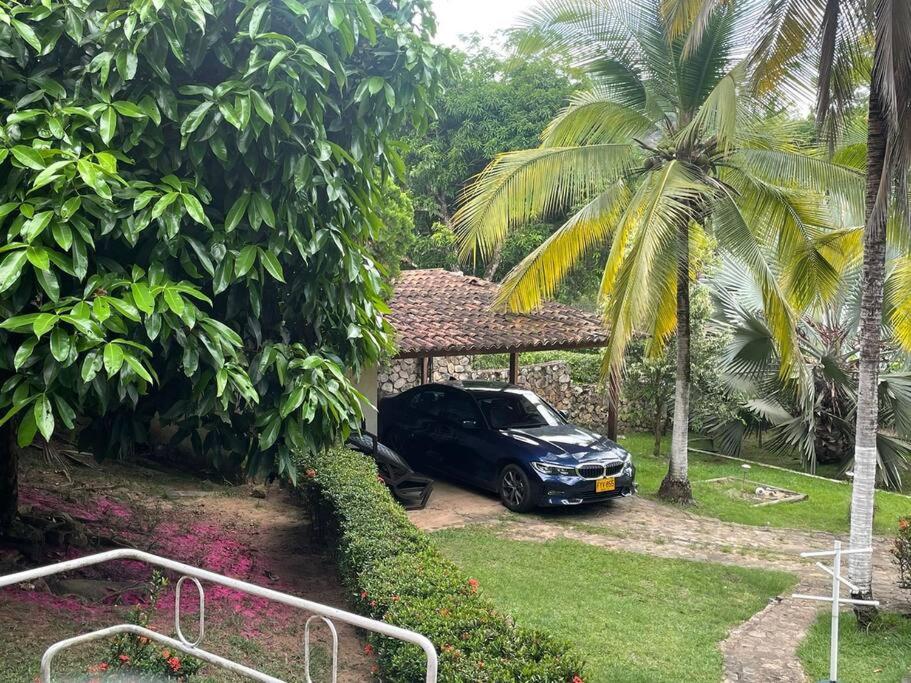 Zahrada ubytování Las Palmeras casa en Melgar