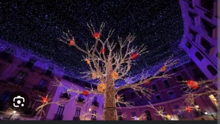 Contrada Cafaro - 13